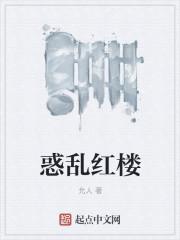 惑乱红楼顶点