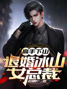 高手下山我的总裁老婆