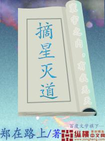 摘星geosaas