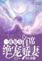 一夜惊喜天价娇妻全文阅读