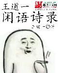 王道诗话原文及翻译
