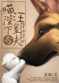 喵陛下 折难