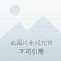 超次元游戏 超次元游戏