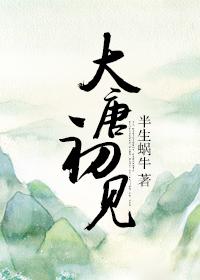 大唐初见 大唐初见