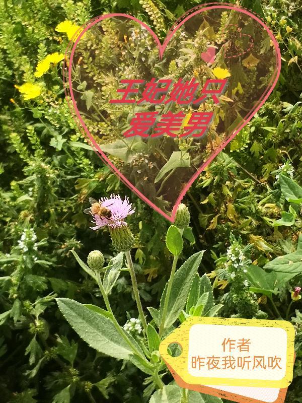 王妃她只爱美男 王妃她只爱美男